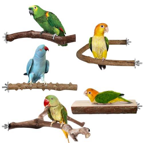 Bird Perches, 5pcs Natural Wood Birds Stand Branch, Bird Perch Chewing Stick Cage Accessories Parrot Climbing Standing Branches Paw Grinding Fork Sets for Cockatiels Ringneck Parrots