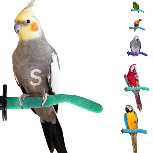 Sweet Feet and Beak Safety Pumice Bird Perch, Small Pedicure Perch, Green | Plastic Bird Nail Trimming Perch, Pumice Coated Surface for Healthy Feet and Beak, 8" Lightweight Perch, Available In 5 Sizes - color: Green, size: Small 8"
