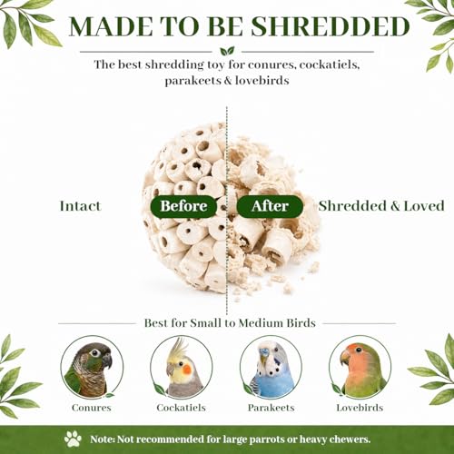 Bird Toys Sola Balls 2.36'' - 6PCS, Bird Foraging Toy, Soft Sola Atta Ball, Parrot Chew Shred Toy for Sharpening Claws and Beaks for Cockatiel, Parakeets, Conure, Love Birds, Budgie and Small Birds - color: 6 PK