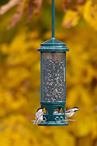 Squirrel Buster Legacy Squirrel-Proof Bird Feeder for Wild Birds – 4 Metal Removable Perches, 2.6 lb Seed Capacity, Chew-Proof Design, Easy to Clean, Green | Four removable metal perches, chew-proof construction, tool-free cleaning - size: 1 Pack