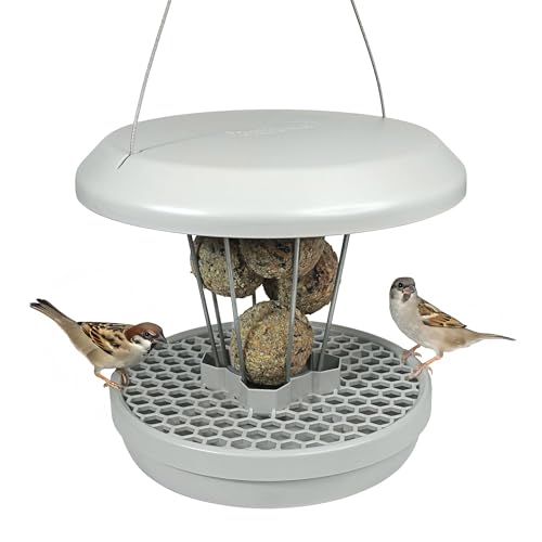 SWISSINNO Bird Feeders - No Mess Fat Ball/Suet Feeder for Outdoors Hanging - Smart Birds Lucerne Spill Proof Wild Cardinal Bird Feeder with Integrated Seed Catcher Tray - Light Grey - color: Light grey, style: Lucerne