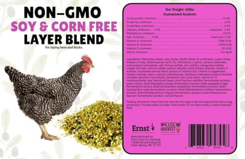 Non-GMO Soy and Corn Free Whole Grain Layer Blend 16% - Chicken Feed for Laying Hens and Ducks - Includes Essential Oils, Herbs, Oyster Shells, Vital Minerals, and Omega 3, 10 lb - size: 10 Pound (Pack of 1), style: Whole Grain Layer