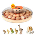 Nest II - 30 Egg Incubator for Large-Batch Hatchers, Hands-On Control, Auto Egg Turning, Manual Water Fill, Consistent Temp, Real-Time Display, Candler for Chicken, Goose, Duck, Quail, Pigeon, Turkey - size: 30 Egg [Orange]