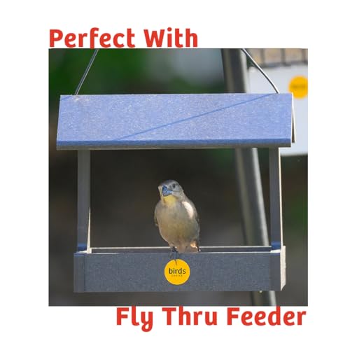 Birds Choice Peanut Butter No Melt Suet Cake | Rendered Beef Suet, Oats, Roasted Peanuts, Sunflower Oil, Corn | Premium Wild Bird Food for Year-Round Backyard Feeding | 11 oz (12-Pack) | Rendered Beef Suet with Oats, Roasted Peanuts, Sunflower Oil and Cor