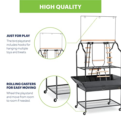 Prevue Pet Products Large Parrot Playstand with Wheels, Bird Stand Activity Play Center with Perches and Ladders, Indoor Outdoor Playground for Birds, Black Hammertone Finish - size: Large