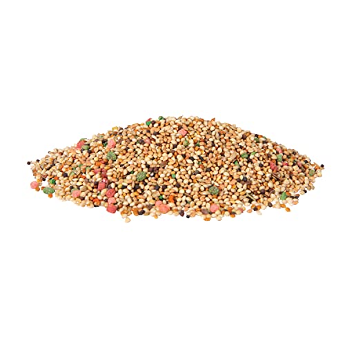 Wild Harvest Daily Blend for Parakeet, Canary, Finch & Small Birds, 2 Pounds (Pack of 4) - size: 2 Pound (Pack of 4)