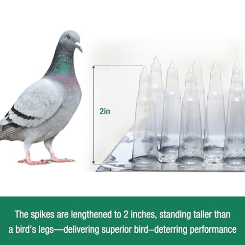 Touri PVC Bird Spikes, Upgraded 24 Packs, Covers 34 Feet (10.36m) | Clear Deterrent Strips, Restrict Birds From Standing and Nesting, Keep Birds Cats Pigeons and Other Animals Away - size: 34 Feet