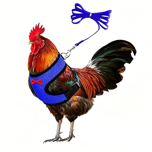 Blue Harness Vest for Chicken Harness with Leash Set, Hen Duck Small Animal | Breathable Comfortable Soft Mesh Harness, Adjustable, Outdoor Walking Training ,Small Animal ,Rooster Dog Kitten - color: Blue, size: M(Chest18.1-20.5'')