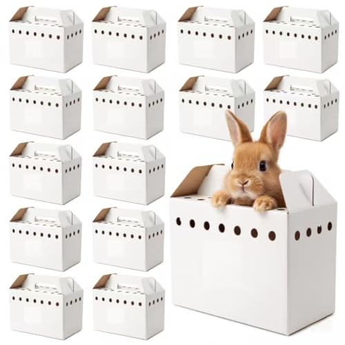 15 Pack Cardboard Pet Carrier Box for Small Pets, 11 x 8 x 6 Inch Disposable Corrugated Small Animals Travel Box with Ventilation & Handle for Chickens, Chicks, Birds, Hamsters & Reptiles