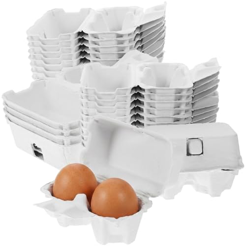 2 Count Egg Carton: Small Paper Cartons for Fresh Eggs - Empty Cardboard Crates for Farmers Market, Easter Crafts and Fridge Storage (White, 24 Pcs)