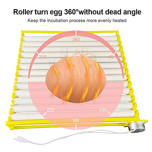 HBtree Automatic Multifunction Incubator Egg Tray Turning Hatcher for Chickens/Ducks/Birds/Poultry（13 Tubes） - color: 13 Tubes