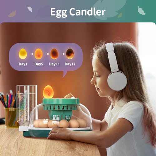 Automatic Egg Incubator for Hatching Eggs with LED Temperature Display, Humidity Control & Egg Turner, Clear Lid Incubator for Chicken, Quail & Bird Eggs (12 Egg Capacity)