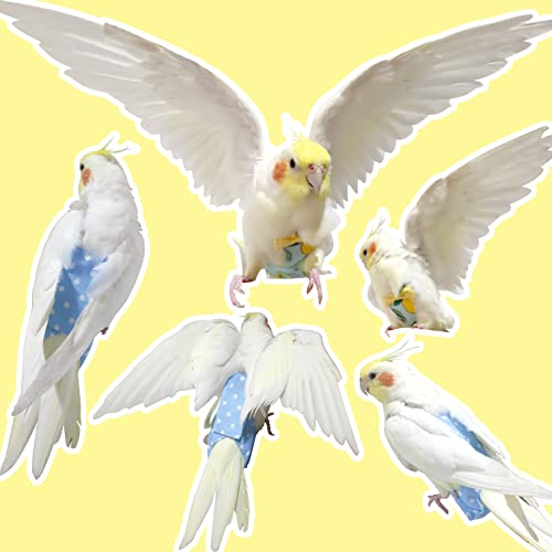 VANFAVORI Bird Diaper Flight Suit with 80-inch Leash Rope, M Size, Yellow | Includes Flight Suit, 80-inch Elastic Leash and 1 Cotton Pad. For Bird Parrot Cockatiel, Conure and Similar Parrot (80-105 g)
