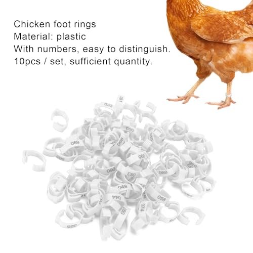 100PCS Chicken Leg Rings, 5 Colors Chicken Leg Bands Readable Numbered Chicken Identification Leg Bands Card Slots Design for Chicks Ducks (White (100 Pieces per Pack)) - color: White (100 Pieces Per Pack)