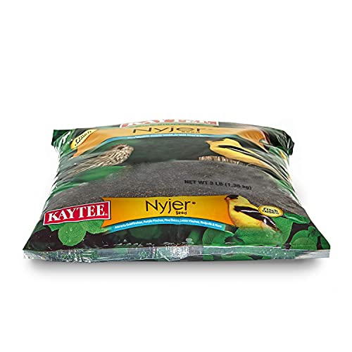 Kaytee Nyjer Seed for Finches & Other Wild Birds, 5 Pounds | Less mess. Finch bird seed for small songbirds. No hulls, 100% edible, bird seed for outside feeders - size: 3 Pound (Pack of 1), style: 3 Pound Bag