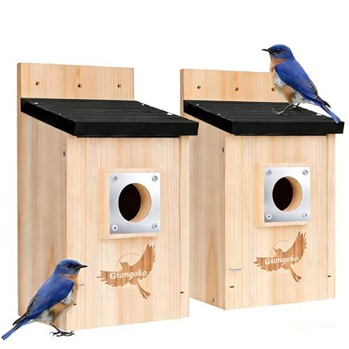 Gtongoko 2 Pack Bluebird Houses for Outside with Metal Predator Guard Black | 1-1/2" entrance, Elevated Mesh Floor, Climbing Grooves, Clean-Out Door, Air-Vent for Bluebirds, wrens, swallows, chickadees - color: Wood color-2pc