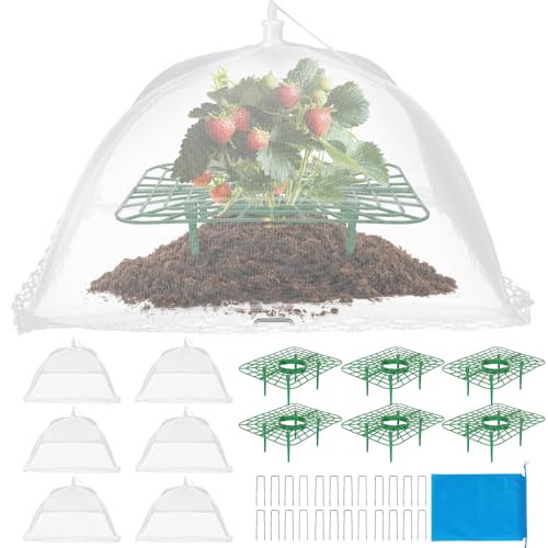 4 Sets Strawberry Plant Support with Mesh Plant Cover,Strawberry Growing Racks Sets with Iron Plant Nails and Storage Bag for Garden Strawberry Vegetables(White Net - Square) - color: White Net - Square