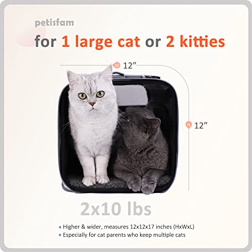 You've got This Cat Carrier with Privacy Flaps for Nervous Fur-Kids. Top-Load Quick-in. 360° Airy Mesh Windows Let Cats See You & Reduce Travel Anxiety. Rip-Stop Fabric & Lockable Zips Hug Securely - color: NervousCats