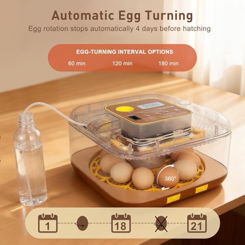 Gen IV - 12 Egg Fully Automatic Incubator, 2026 Upgraded Design, Intelligent Sensor-Based Humidity & Temp Control, Custom Hatch Days, Adjustable Auto Turning with Auto-Stop, 360° View, Alarm, Candler - size: 12 egg-brown