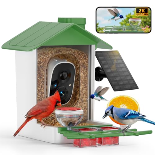 Bird Feeder with Camera, 2K HD Smart Birds Feeder with Solar Panel, AI Bird-Recognition, Instant Motion Alerts, Auto Capture BirdVideos, Outdoor Birdhouse Feeder Gift for Bird Lovers - color: Green