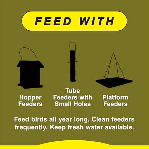 Wild Delight Advanced Formula Special Finch Food Wild Bird Seed Mix, 5lbs - size: 5 Pound (Pack of 1), style: Special Finch 5lb