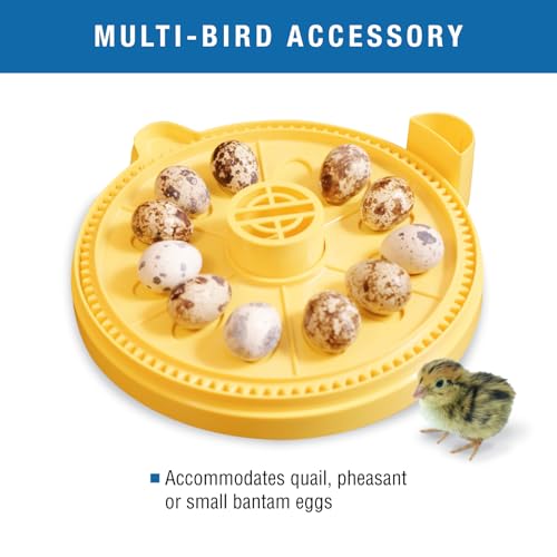 Brinsea Egg Quadrant Insert for Mini Advance Incubators Fits 12 Eggs, Small | Authentic Brinsea parts specifically designed for Mini Advance enables incubator to hold up to 12 pheasant or quail-size eggs - size: Fits 12 Eggs, style: Mini Advance