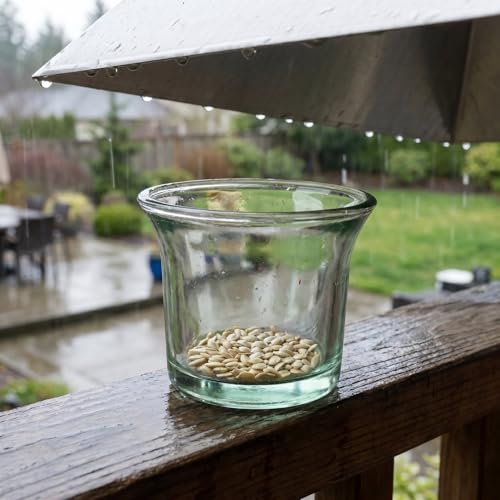 Abaodam 3PCS Glass Bird Feeder Replacement Cup, Outdoor Hanging Feeder Bowl | Bird Feeding Cup, Oriole Feeder Jelly Cups Replacement, Universal Hummingbird Glass Dish For Garden Balcony Patio Accessories