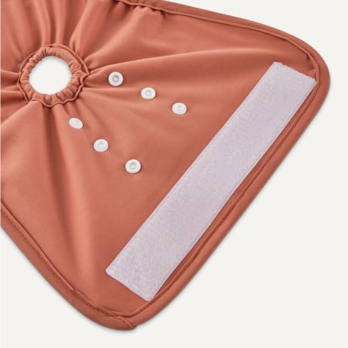 Amazon Basics Reusable Washable Dog Diapers, Highly Absorbent, Female, Medium, 3-Pack, for Senior Pets, Incontinence, Fertility Cycles - size: M