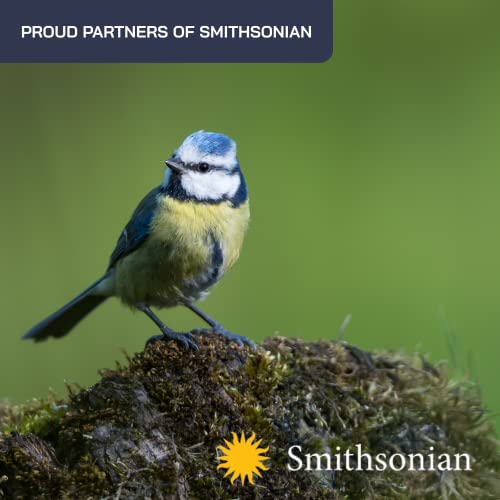 Smithsonian Adult Birding Binoculars - 10x42, Phone Adapter, Diopter Adjustable - Ideal for Hiking, Travel - Includes Bird Watching Guide