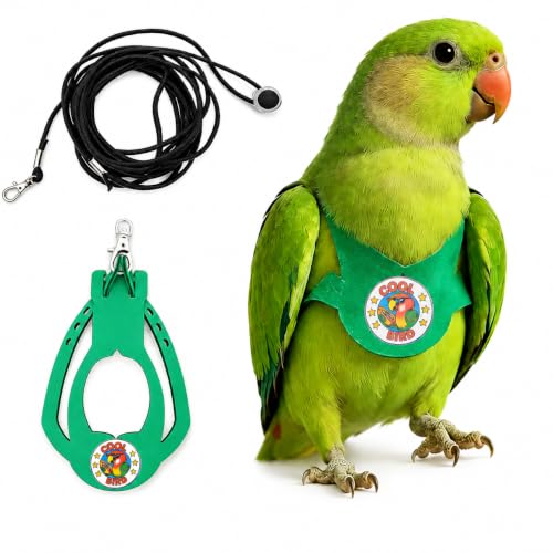 Adjustable Bird Harness & Leash Set for Small Birds,FitsBudgie,Parakeets, Conures, Cockatiels,Green Cheek,Quaker Parrots(Green, L) 6350-9 - color: Green, size: L,for Quaker Parrotand similar size birds