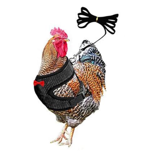 Chicken Harness and Leash Set Adjustment mesh Duck Harness Vest，Black M | breathable mesh harness,adjustable straps,sturdy leash,fit chicken,duck,goose,rooster,parrot,kitten,tiny dog training walking - color: Black, size: M( Chest 18.1-20.5")