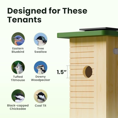 Smart Bird House with Camera Solar Powered, 1080HD Live Video & Night Vision for 24/7 Nesting Recording, Auto Detect & Notify, Ideal Nature Gift for Bird Lovers, AI Identify Lifetime Free