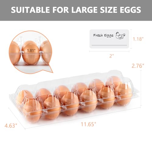 60PCS Egg Cartons 12 Count Clear Egg Cartons Cheap Bulk for Large Eggs | 1 Dozen Blank Chicken Egg Tray Holders for Family, Chicken Farm, Business Market Display - size: 60Pack-2x6 Grids