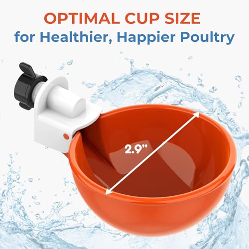 Lil'Clucker Large Automatic Chicken Waterer Cups | Chicken Water Feeder Suitable for Chicks, Duck, Goose, Turkey and Bunny | Poultry Water Feeder Kit (Orange, 12-Pack) - size: 12-Pack
