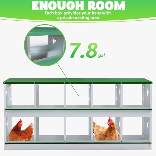 TOCRETOARE Chicken Nesting Boxes, 10 Hole Nesting Box for Laying Eggs, Heavy Duty Metal Nest Boxes for Chicken and Poultry to Collect Eggs, Chicken Laying Boxes Hens Chicken Coop Box - size: 10 Hole