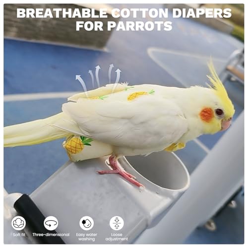 QBLEEV Bird Diaper Flight Suite, Reusable Parrot Nappy Cockatiel Clothes | Soft & waterproof inner layer, cute pigeon pants urine wet suit costume for conure macaw african budgies sun parakeet - color: Watermelon, size: S