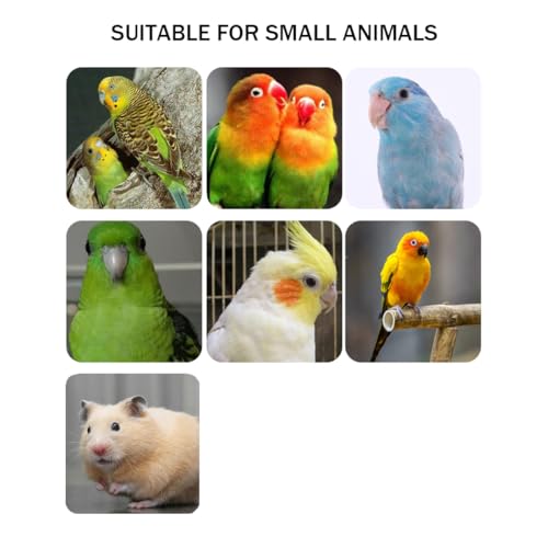 5pcs Bird Perch Stand Platform Natural Wood Parakeet Toys Cage Accessories | Colorful Rough Quartz Sand Surface, Thickened Exercise Paw Grinding Stick for, Budgies, Cockatiel, Lovebirds, Finch, Canary