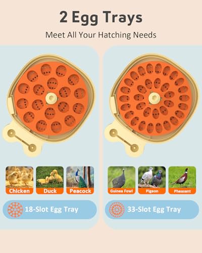 18 Egg Incubator for Hatching Eggs with Automatic Turning, Digital Temperature & Humidity Control, Built-in Egg Candler & Auto Water Refill, 360° Clear View for Chicken, Beige+Orange - color: Orange+Beige