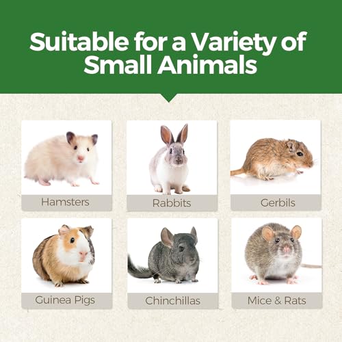 TEEWY Guinea Pig Chew Toys, Prevent Teeth Overgrowth, Natural Timothy Grass & Vegetables, Hamster Chew Toys, Guinea Pig Toys, Chinchilla Toys, 4PCS, Grass Patch & Carrots - style: 4PCS-Grass Patch & Carrots