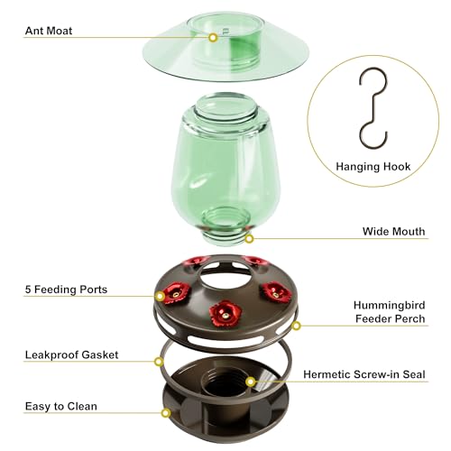 Auslar Glass Hummingbird Feeder for Outdoors, 16 Oz Bird Nectar Feeder | Ant Moat & 5 Feeding Ports, Durable Glass, Ant and Bee Proof, Leakproof, Easy Clean and Fill, Garden Hanging Decor, Green - color: Green