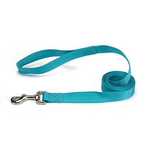 Zack & Zoey Basic Nylon Dog Leash, 6-Feet x 1-Inch Lead, Bluebird - color: Bluebird, size: 6-Feet x 1-Inch Lead