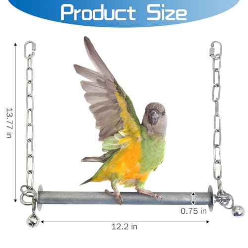 Bird Swing Stainless Steel Parrot Swing Parakeet Perch Stand Toy Hanging Birdcage Accessories for Parakeets Cockatoos, Green Headed Parrots Macaws African Grey Parrots