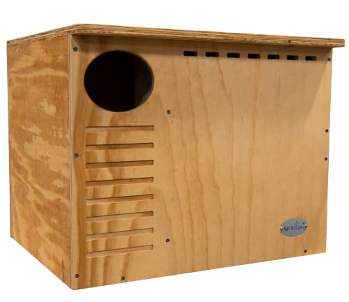 Barn Owl Nesting Box: Do It Yourself Assembly Kit Owl House- Build Your Own Barn Owl Box - Screws, Mounting Hardware, Instructions and Nesting Material Included