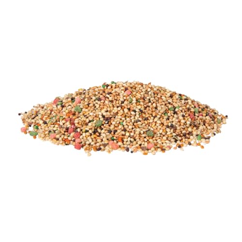 Wild Harvest Daily Blend for Parakeet, Canary, Finch & Small Birds, 2 Pounds - size: 2 Pound (Pack of 1)