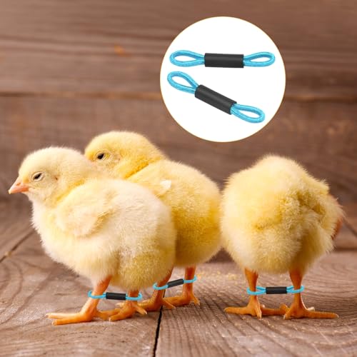 M METERXITY 100-Pack Adjustable Chick Leg Bands, 1.38" x 0.2" Polyester Chicken Leg Brace for Chicks/Ducks/Birds [Blue] Poultry Leg Bands - color: Blue