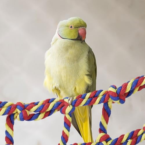 Parrot Climbing Net, Colorful Woven Pets Climbing Net with 4 Hooks, Small Animal Hanging Hammock Net Rat Cage Accessories for Parrot, Hamster (Red, M)