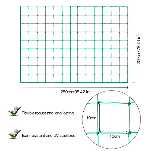 Trellis Netting, PDGROW Climbing Plant Support Net Garden Pea Bean Neting, Heavy-Duty PE Trellis Net for Cucumber, Tomato, Vegetables, Fruits, Sweet Pea Plants (6.6' x 8.2'Ft) - size: 6.6' x 8.2'