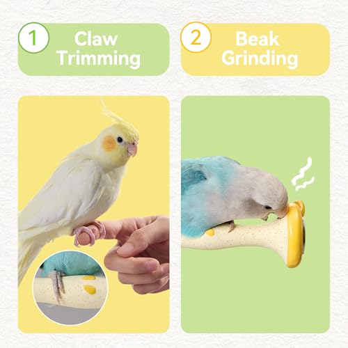 Apple Shape Parrot Perch Stand Ceramic Beak Grinding Stone Toy for Nail Trimming - Cage Accessories for Parrot, Budgie, Cockatiel, Lovebird, Other Small Medium Birds (Green)