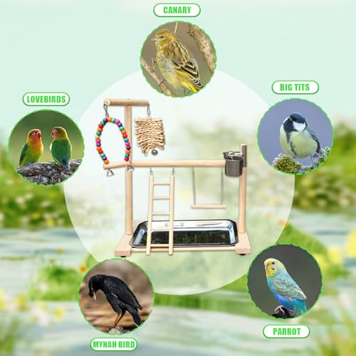 Bird Stand, Natural Wood, Parrot Playground with Removable Tray & 2 Stainless Steel Feeder Cups, Suitable for Parakeet, Conure, Cockatiel, Lovebird, Canary, Lorikeet & African Grey - color: A