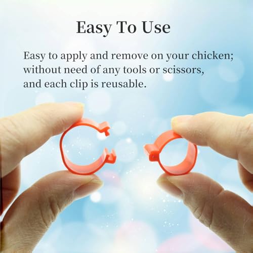 DoubleWood Leg Bands for Birds, 120 Pcs Numbered 8mm Pigeons Leg Bands, Poultry Leg Bands Clip on Leg Bands for Baby Chick, Bantam, Finch, Dove, Lovebird, Coturnix Quail (8mm - 120 Pcs) - size: 8mm - 120 Pcs